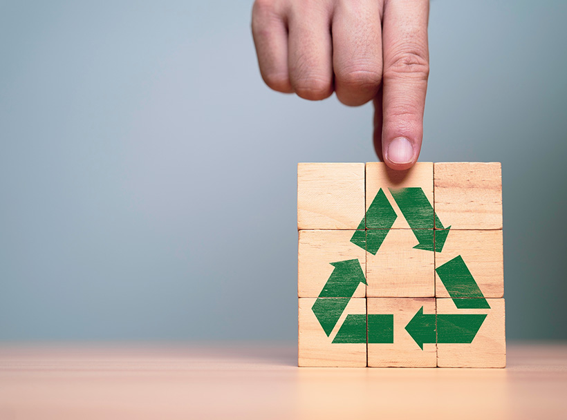 Sustainable Packaging ()